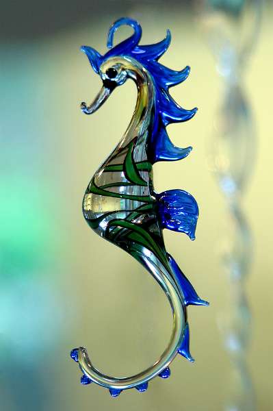 Frehae_MISC_029.jpg - Sea horse in glass (Monschau 2005)