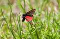 047FH_100604_13639