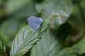 FH_BUT_0119_8811