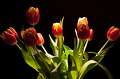 FH_110312_15908