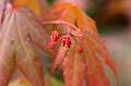 FH_FG_0043