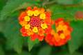 FH_FG_0046