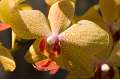 FH_FG_0075_3427