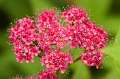 FH_FG_0093_3858