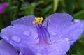 FH_FG_0100_IX0584