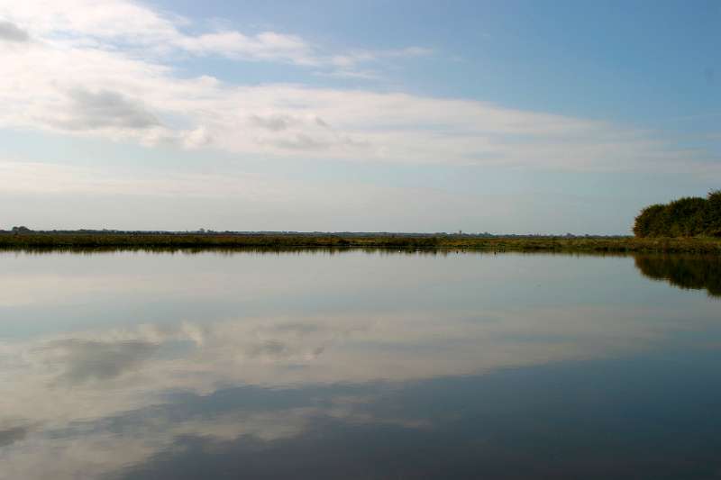 Frehae_LS_001(Groffliers).jpg - Bay of the Authie (Groffliers - France)