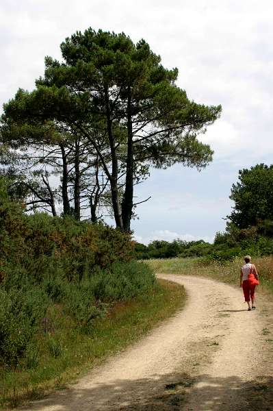 Frehae_LS_007.jpg - Walk at Erdeven (Belz-Morbihan-France)