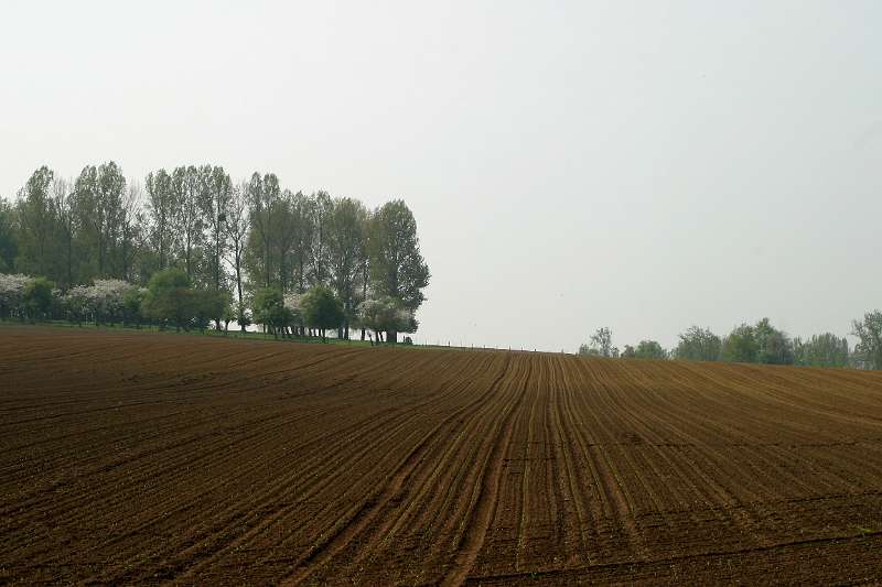 Frehae_LS_024(Haspengouw).jpg - "Hageland" (Belgium)