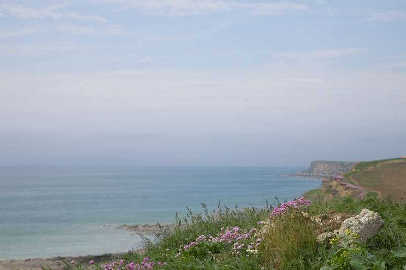 Frehae_LS_044_5412(Cap-Gris-Nez).jpg - Cap Gris Nez