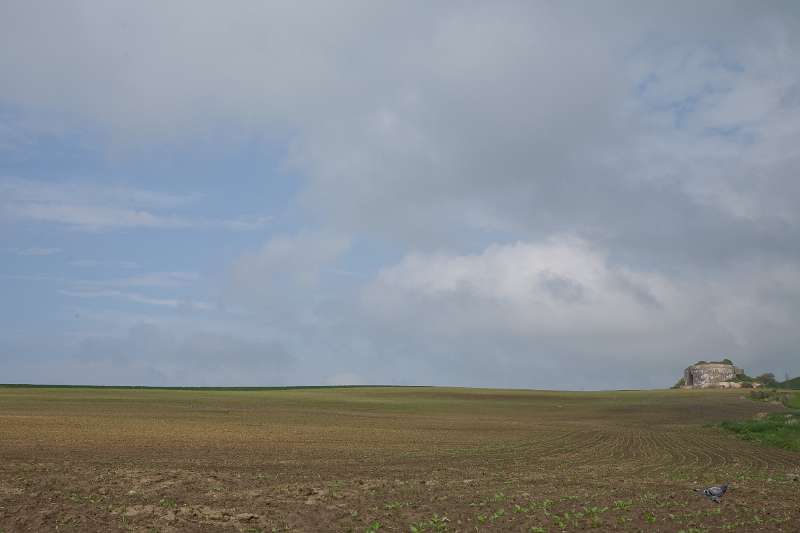 Frehae_LS_045_5413(Cap-Gris-Nez).jpg - Cap Gris Nez