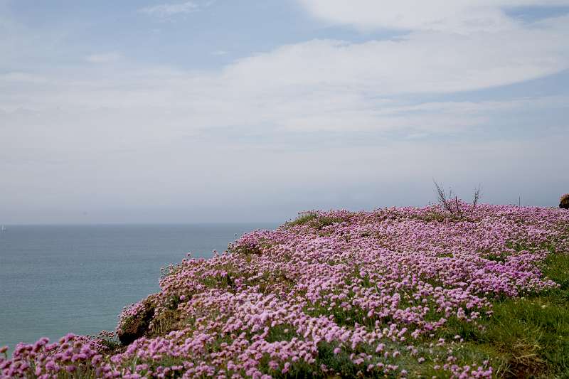 Frehae_LS_046_5418(Cap-Gris-Nez).jpg - Cap Gris Nez