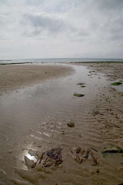 Frehae_LS_052_5487(Cap-Gris-Nez).jpg - Cap Gris Nez