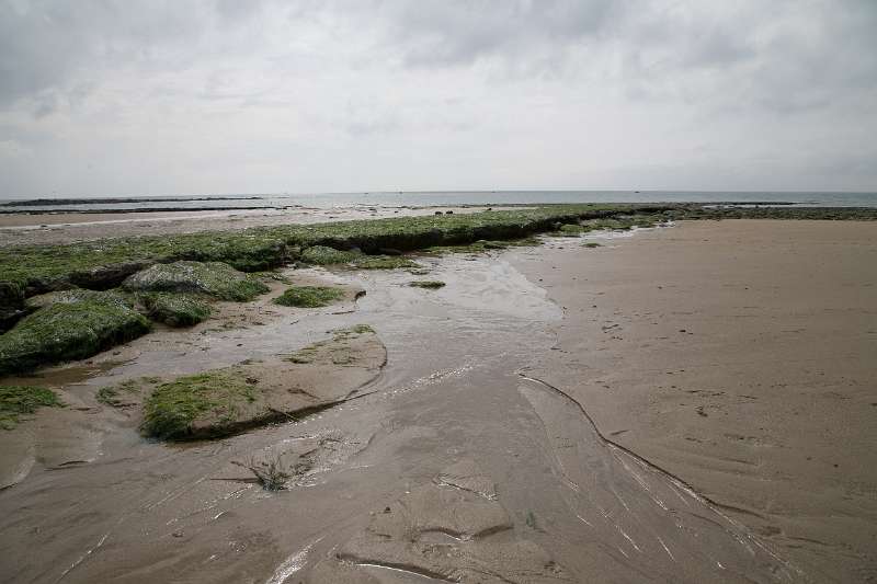 Frehae_LS_054_5485(Cap-Gris-Nez).jpg - Cap Gris Nez