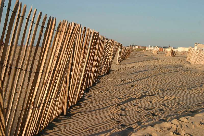 Frehae_MISC_005.jpg - Beach at Berck Plage (France)