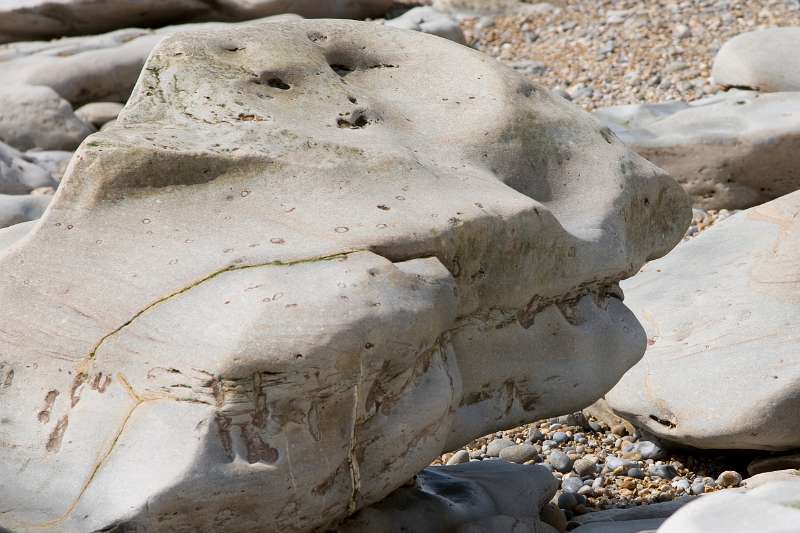 Frehae_MISC_084_5449.jpg - Cap Gris Nez - Dinosaurus ?