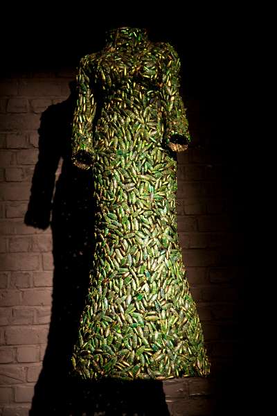 FH_081130_7367.jpg - Jan Fabre - Groene Kevers