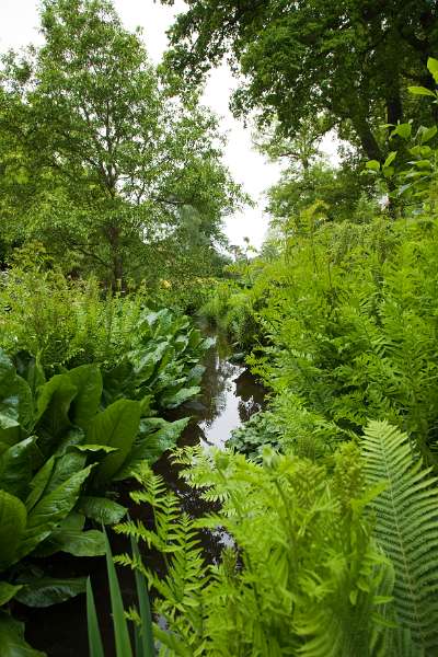 FH_090523_8255.jpg - Englefield Green - Surrey - The Savill Garden