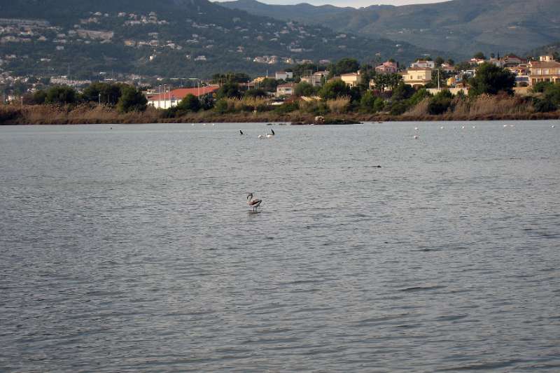 FH_091229_IX0940.jpg - Las Salinas - Calpe - Spain