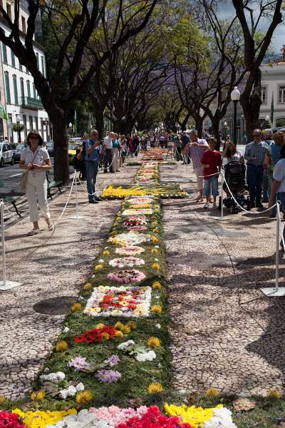 Madeira_022.JPG - Madeira - Funchal