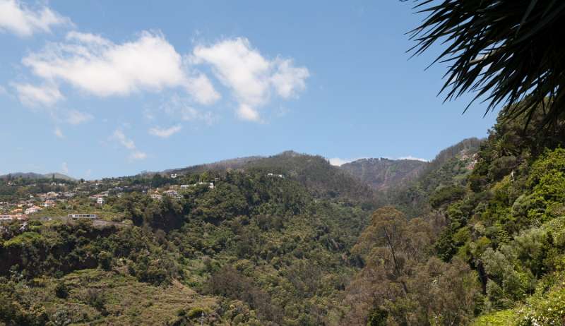 Madeira_257.JPG