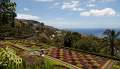 Madeira_240