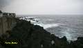 Madeira_502