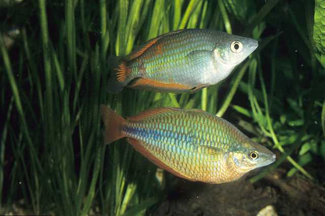 FH_RB_0007.jpg