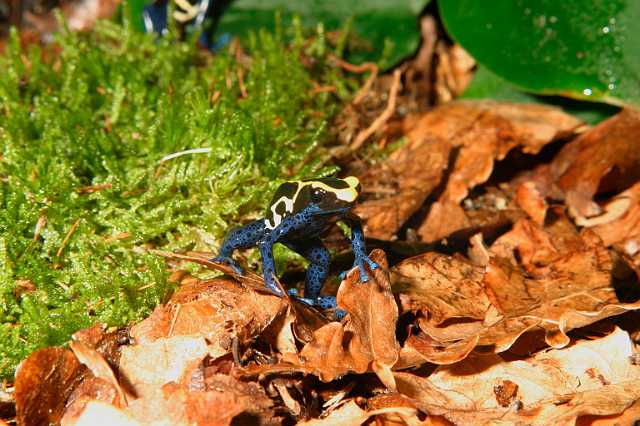 FH_TR_0001.jpg